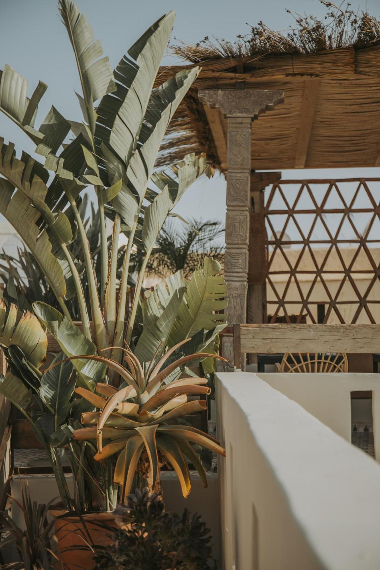 Riad K Μαρακές Εξωτερικό φωτογραφία